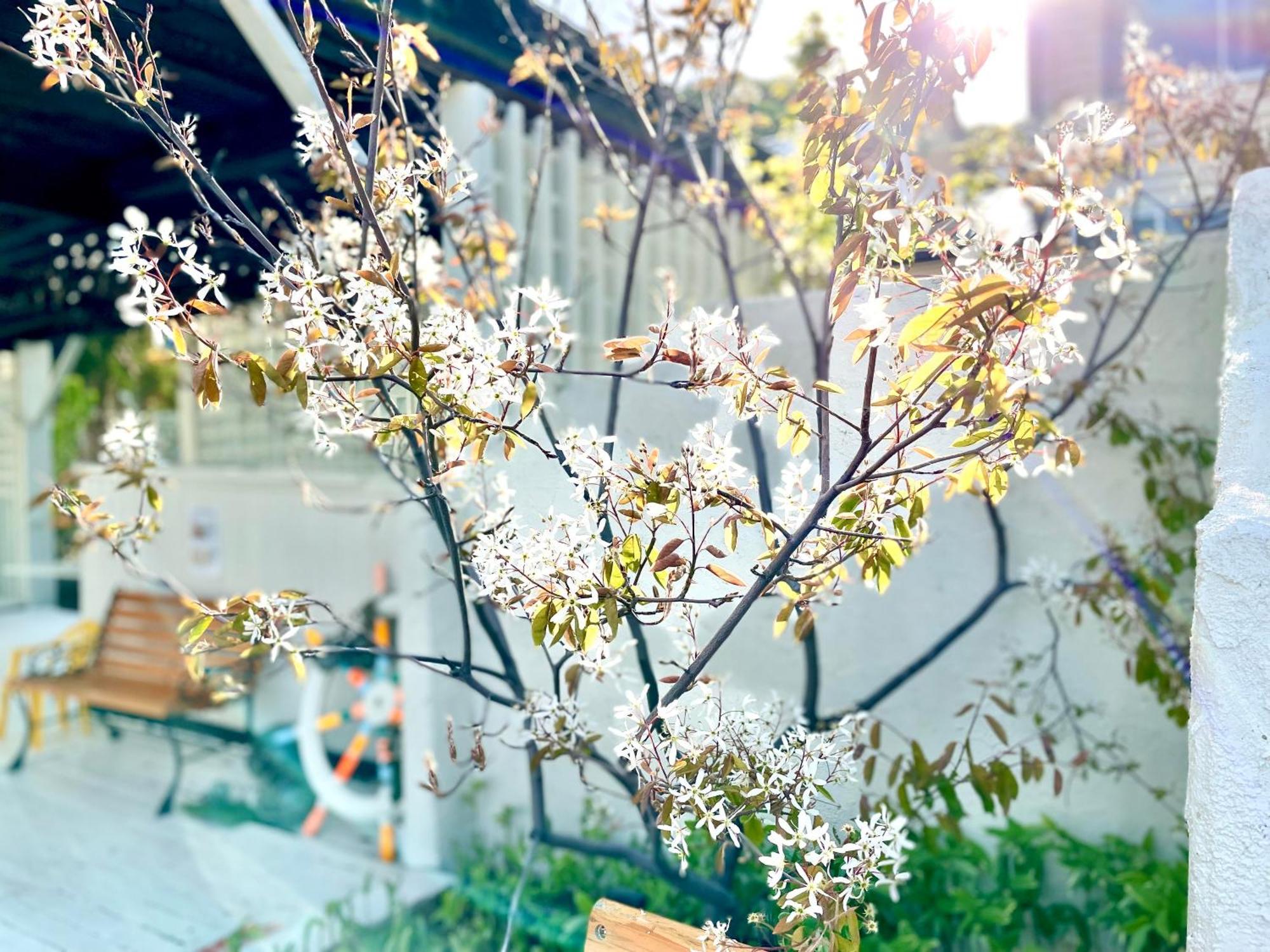 신세이 호텔 Shakotan 외부 사진